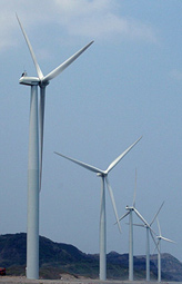 windmills